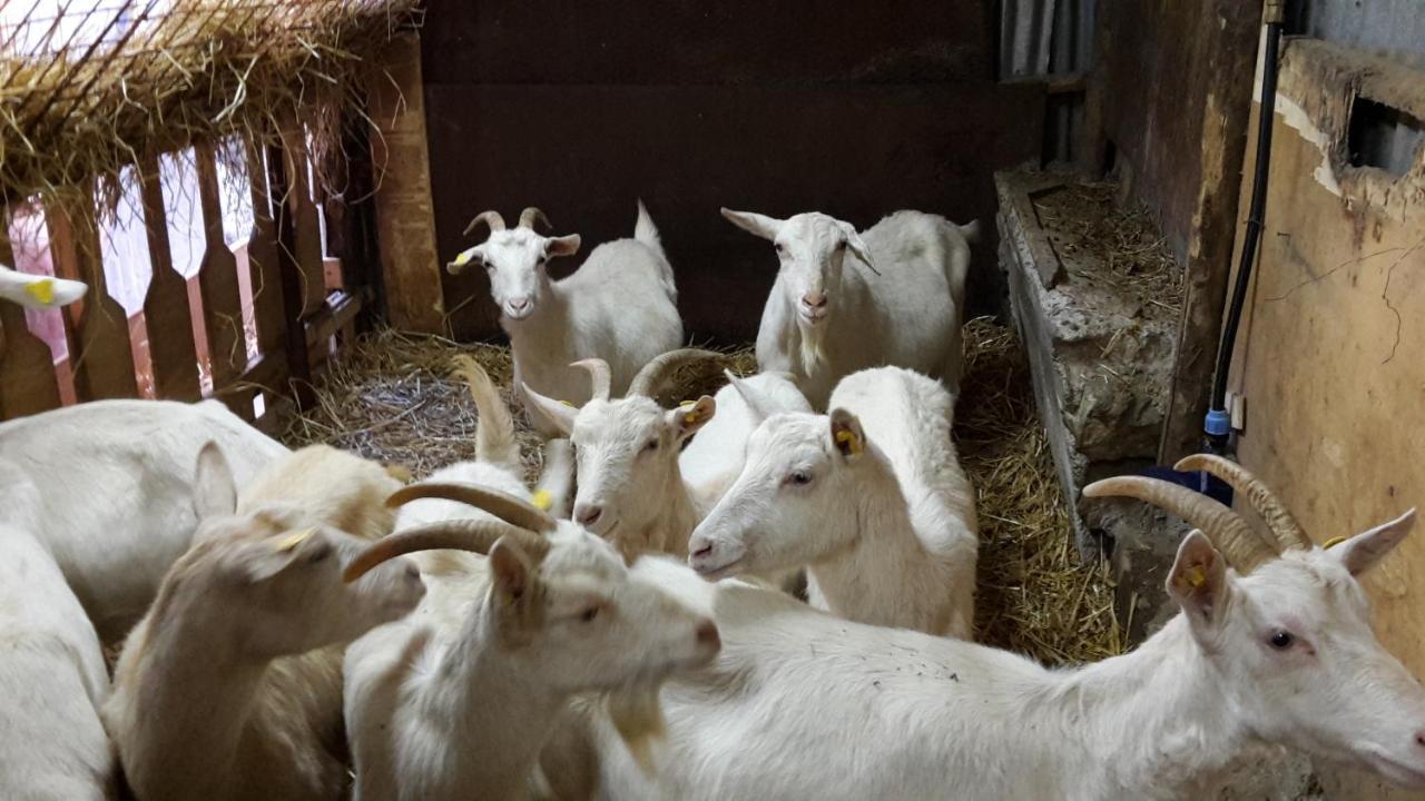 Cantina Del Casale Tramonti Eksteriør bilde